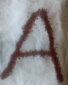 azenor