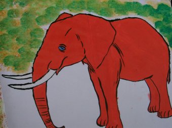 elephrouge