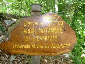 jardin1