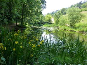 jardin3