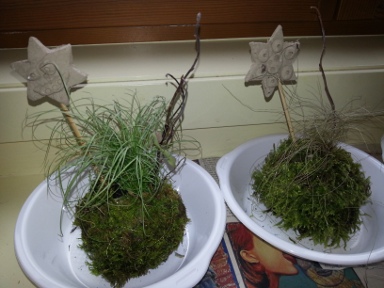 noel8a_2013
