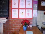 Visite 5
